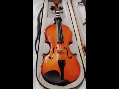 Varios Hobbies Violin