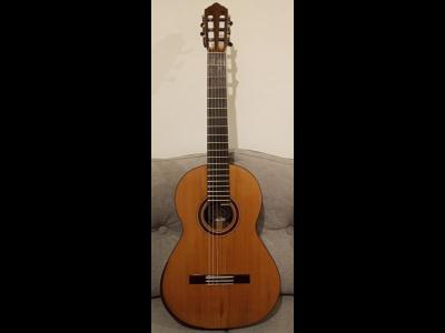 Varios  Guitarra Clsica Luthier