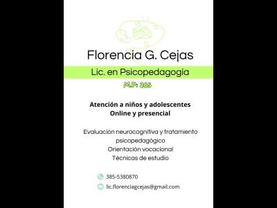 Profesionales Psicologa Lic. Florencia G. Cejas - PSICOPEDAGOGA