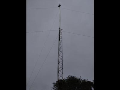 Varios Electronica VENDO antena torre y cao para INTERNET por AIRE