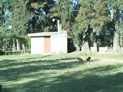 Terrenos Venta Vendo lota Zanjon