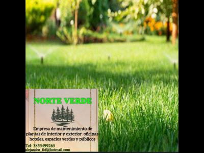 Empleos  Mantenimiento de jardinera integral
