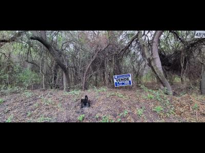 Terrenos Venta Santiago Del Estero TAGLIAVINI TERRENO - VUELTA DE LA BARRANCA - A 2.000 METROS DE RUTA NACIONAL Nº 9 - SGO. DEL ESTERO