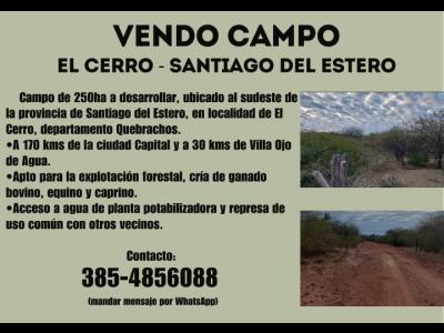 Campos Fincas Chacras Venta Santiago Del Estero VENDO CAMPO EN EL CERRO - QUEBRACHOS