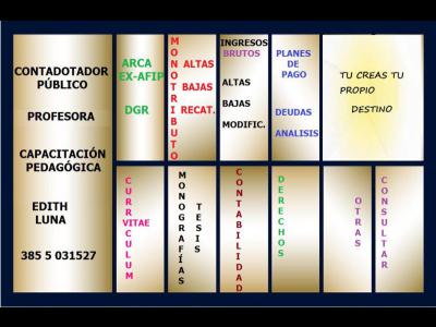 Servicios Clases yCursos PROFESORA CONTADOR