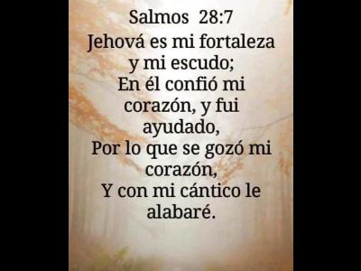 Empleos  Busco trabajo