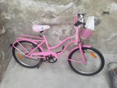 Varios Educacion Vendo dos bicicletas rodado 20 para nena o varon