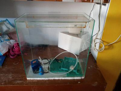 Varios Hogar, Muebles y Jardin Kit Pecera