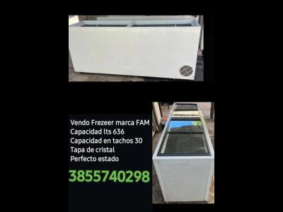 Servicios Otros Servicios Vendo frezeer 636 lts