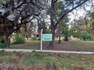 Campos Fincas Chacras Venta Santiago Del Estero AMPLIA FINCA SOBRE RUTA N9